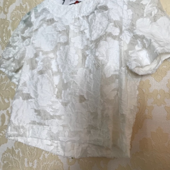 Beautiful lace top with zipper back - size 6 - Picture 4 of 6